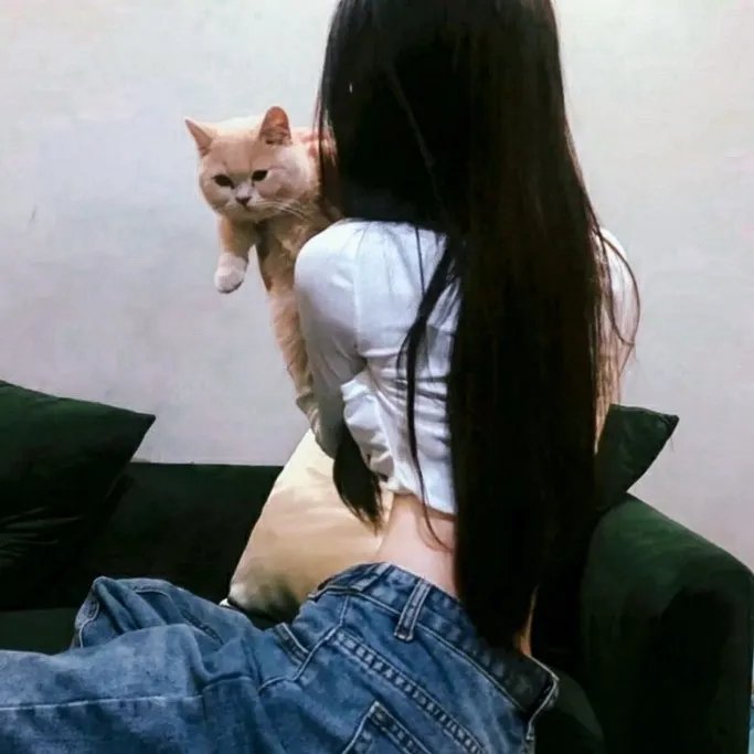 绝望写手第四季